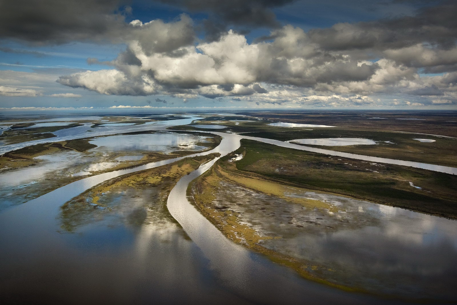 обь впадает в карское море